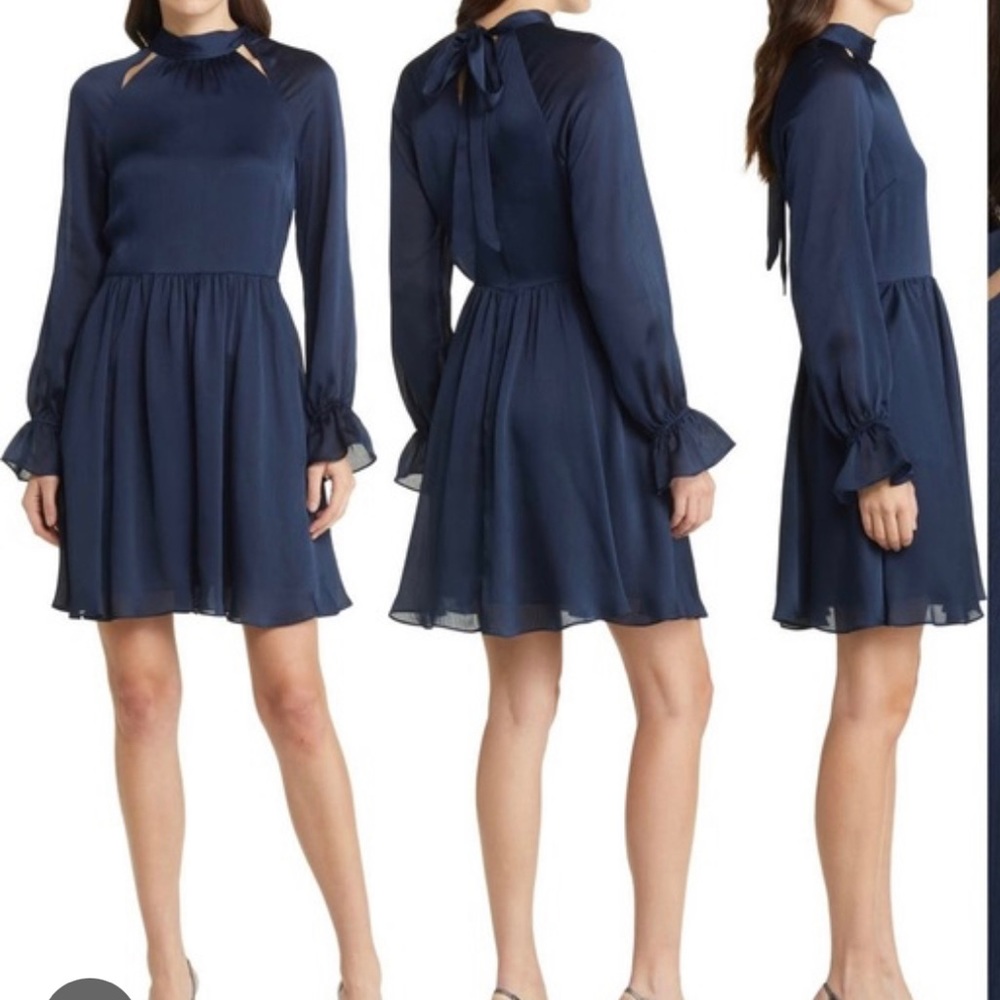 Ted Baker Dress